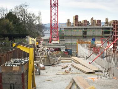 IMG 7215 heller klein